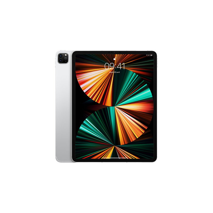 Apple iPad mini 5 Wi-Fi Argent - 256Go Grade A