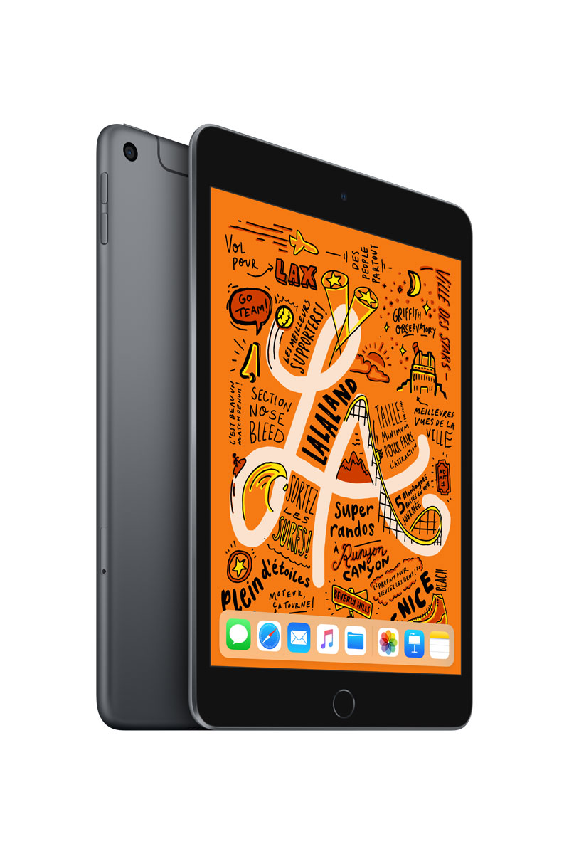 Apple iPad mini 5 Wi-Fi Gris sidéral - 256Go Grade A